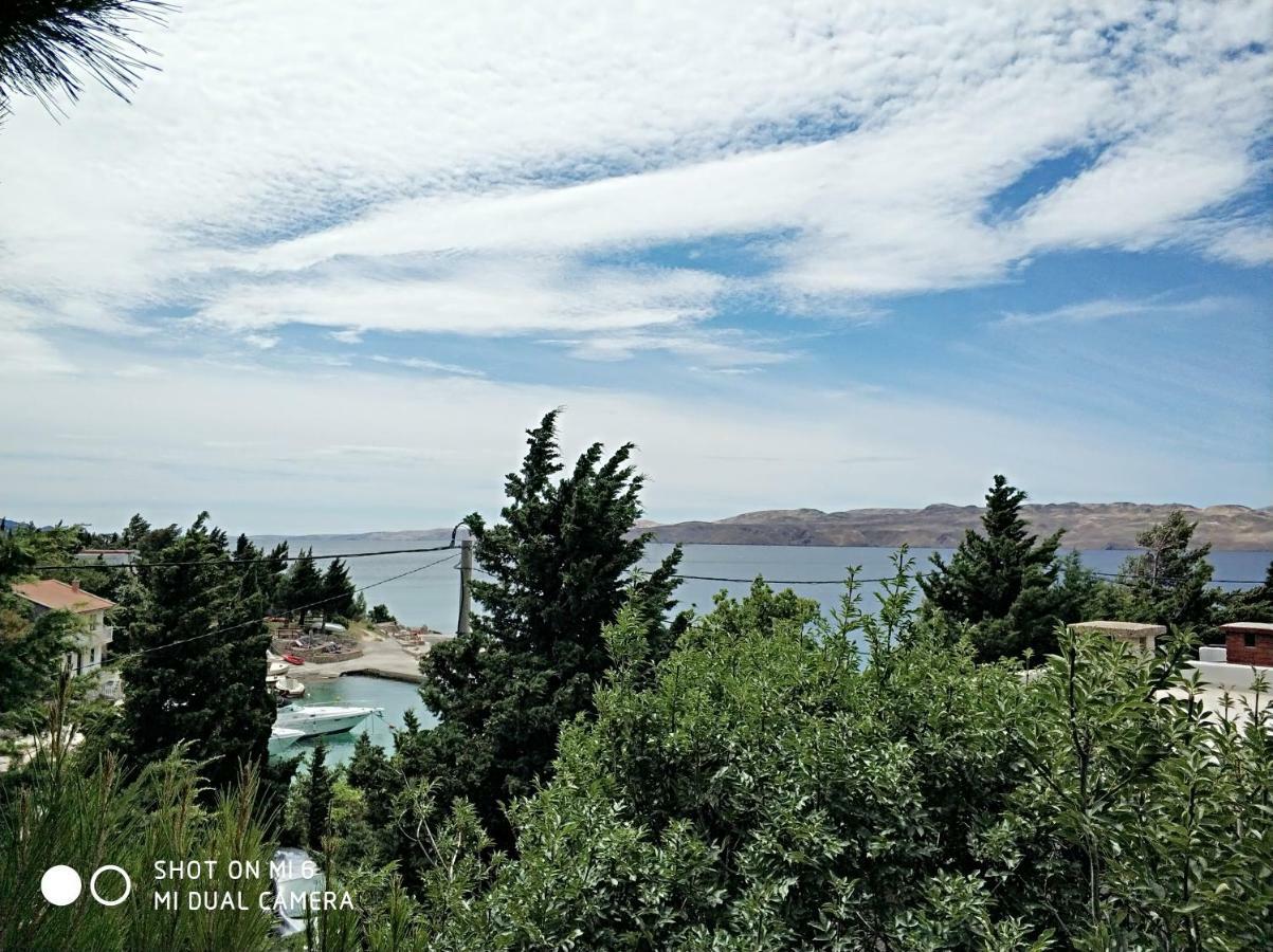 Danica Holiday House Cesarica Buitenkant foto