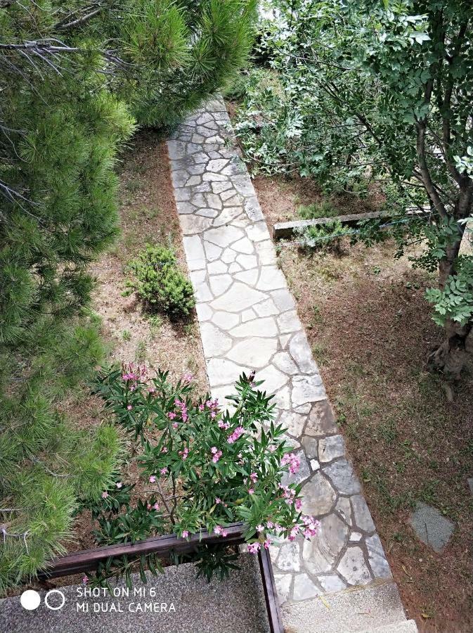Danica Holiday House Cesarica Buitenkant foto